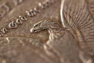 Amerikan gümüş doları. Amerikan parası 1902 Eagle 'ın başı ve kanatları. Makro fotoğrafçılık. Numismatikler.