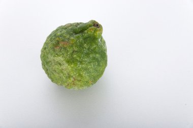 bergamot beyaz arkaplanda