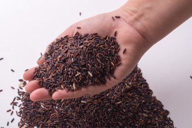 Holding eller Riceberry pirinç.