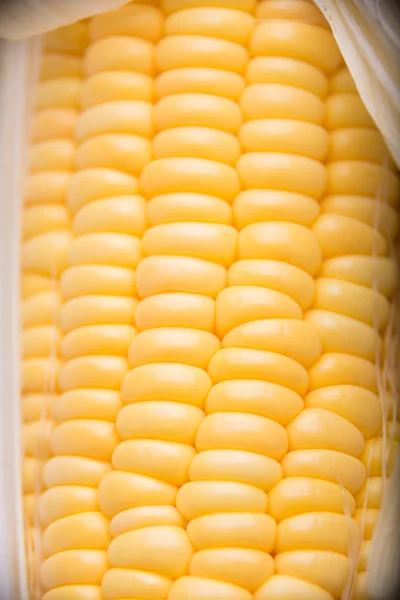 Macro de granos de maíz maduros — Foto de Stock