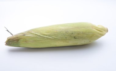 kapalı mısır mısır koçanı.