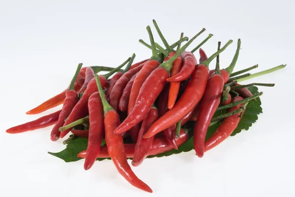 Red Hot Chilli papričky — Stock fotografie