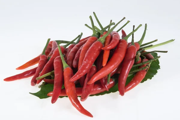 Red hot chilli peppers — Stock Photo, Image