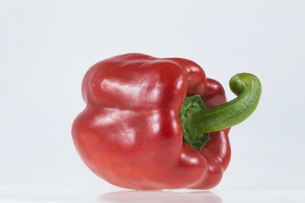 Red bell pepper. — Stock Photo, Image