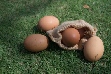 Küçük bir çuvala yumurta arka plan vardır