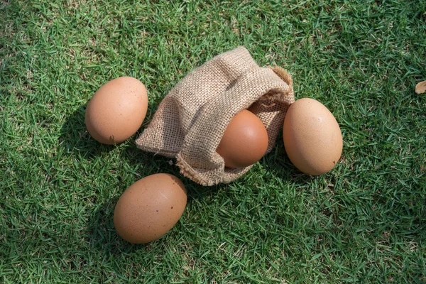 Egg in a small burlap sack. — Stock Photo, Image