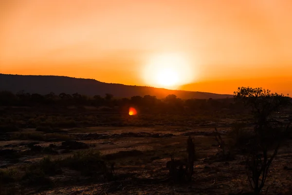 Nascer do sol sobre a savana da África — Fotografia de Stock