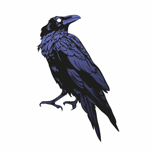 Векторная Иллюстрация Ворона Черный Ворон Ужасов — стоковый вектор