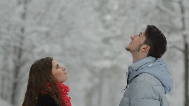 Casal apaixonado em uma floresta nevada . — Vídeo de Stock