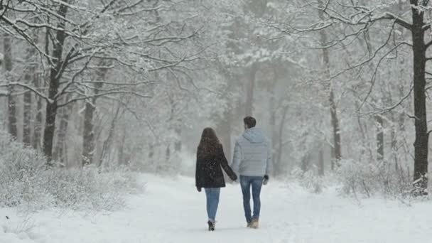 Paar verliefd in een besneeuwde forest. — Stockvideo