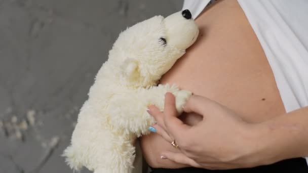 Mujer embarazada feliz sobre un fondo gris. Mantiene osos de peluche en su vientre. Movimiento lento — Vídeos de Stock