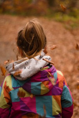 Ormanın yürüyüş çocuk