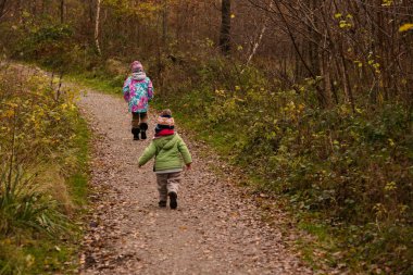 Ormanın yürüyüş çocuk