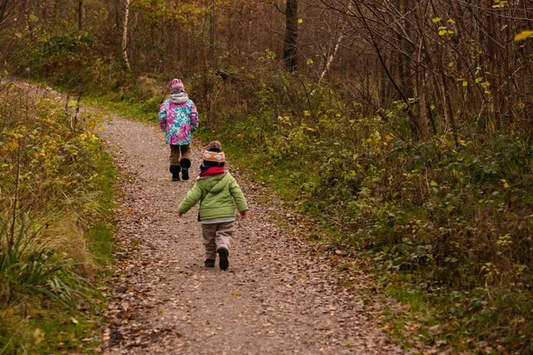 Ormanın yürüyüş çocuk