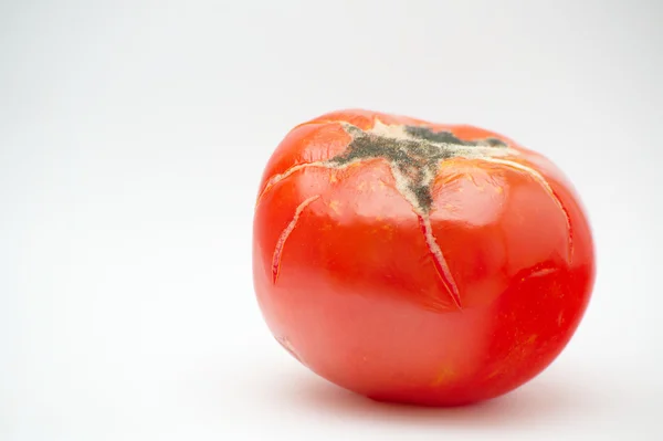 Tomato(es) pleśnią, zbliżenie — Zdjęcie stockowe