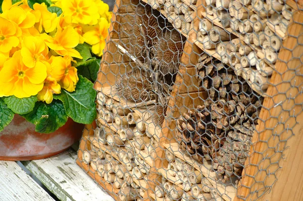 Bug hotel - diy projekt Stockbild