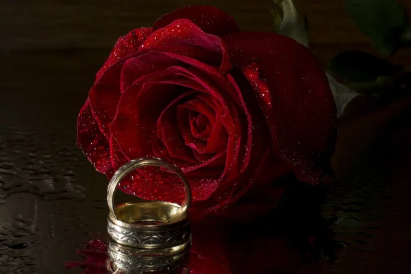 Rosa roja y anillos de boda — Foto de Stock