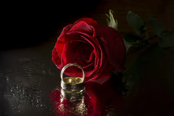 Red rose and wedding rings — Stock Photo, Image