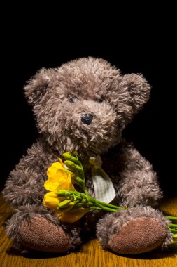 Oyuncak ayı ve Frezya