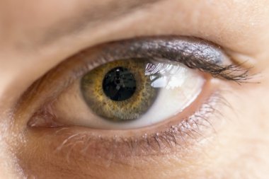 Bir insan gözü ayrıntılarını 