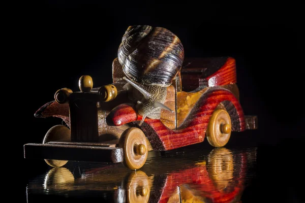 Улитка и игрушечный автомобиль — стоковое фото