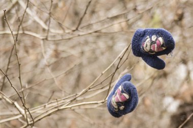 Çocuk eldivenleri parkta bir çalı