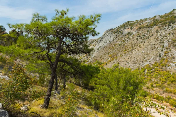 Όμορφο Ορεινό Τοπίο Κοντά Στην Πόλη Blagaj Βοσνία Ερζεγοβίνη — Φωτογραφία Αρχείου