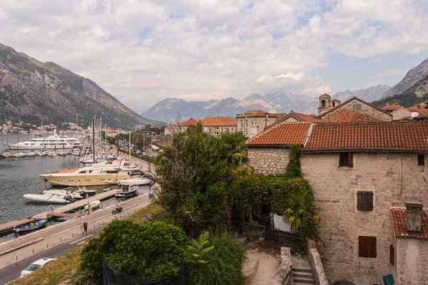 View City Kotor High Point Sunny Summer Day Montenegro — Stock Photo, Image