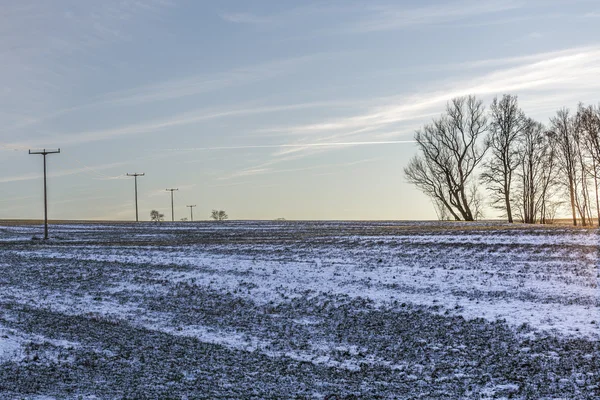 Feld mit Viltage Pylonen und Bäumen im Sonnenuntergang — Stockfoto