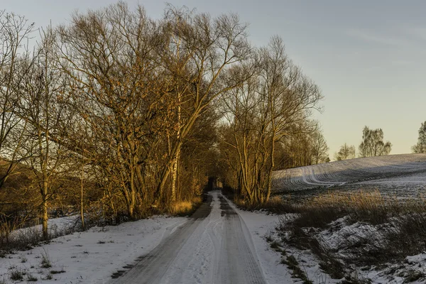 Caminho nevado na luz solar — Fotografia de Stock