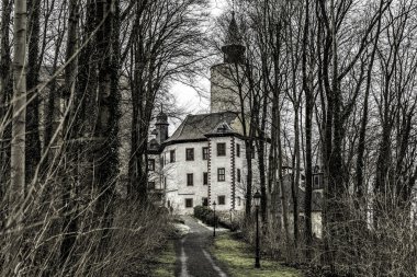 Kalenin ormanda