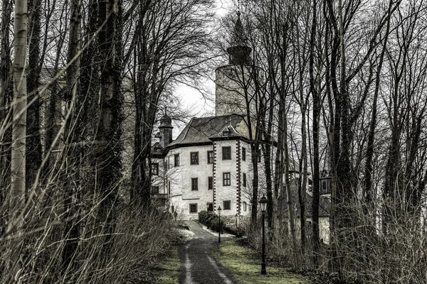 Kalenin ormanda
