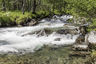 küçük nehir rapids ile