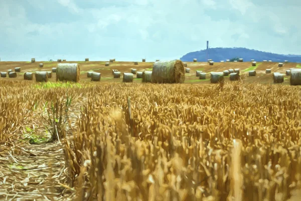 Tempo de colheita - fardos de palha em um campo — Fotografia de Stock