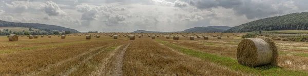 Збирання врожаю - комбайни і трактори — стокове фото