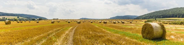 수확-수확기와 트랙터 — 스톡 사진