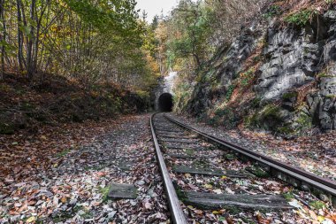 Sonbahar ormanında kullanılmayan demiryolu hattı
