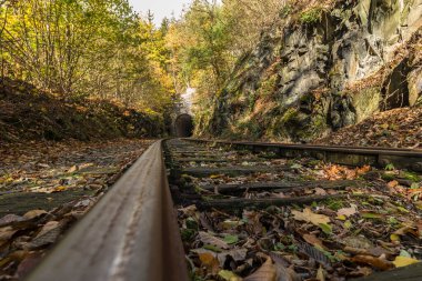 Sonbahar ormanında kullanılmayan demiryolu hattı