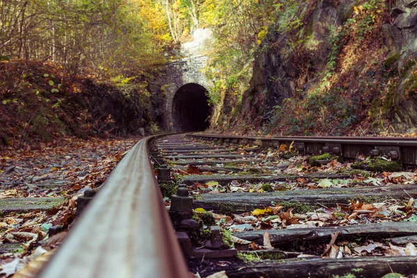 Заброшенная Железнодорожная Линия Осеннем Лесу — стоковое фото
