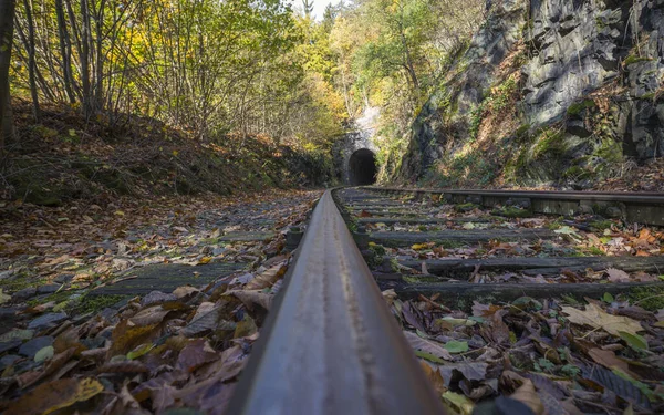 Заброшенная Железнодорожная Линия Осеннем Лесу — стоковое фото