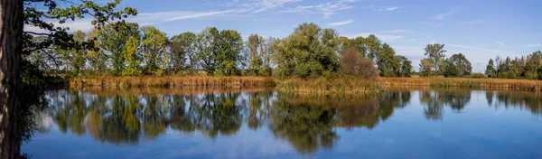 Gölün Geniş Panorama Resimlerinde Ayna Ağaçları Var — Stok fotoğraf