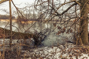 Gölde vahşi kış doğası
