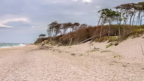 Wildcoast Baltic Sea — Stock Photo, Image