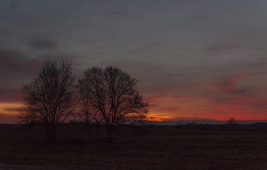 günbatımı, ağaçlar