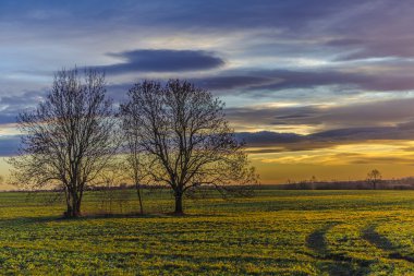 mistik günbatımı - gizemli gökyüzü