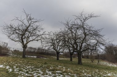 Üç ağaçların kış manzarası