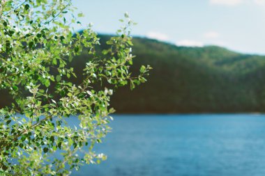 Nehir ve doğa manzarası