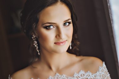 Gelin portresi. Bir kadın büyük bir portresi. Düğün günü. Dantel elbise.