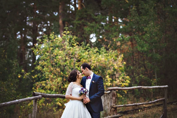 Mooie paar liefhebbers jonggehuwden knuffelen in het bos. Toekomstige vrouw in kant jurk, in het bos. Elk kijken. Witte trouwjurk. Blauw mannen pak. Een groot portret van de bruid. — Stockfoto