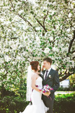 Çift doğa, arka plan beyaz çiçekler içinde mutlu. Apple bloom